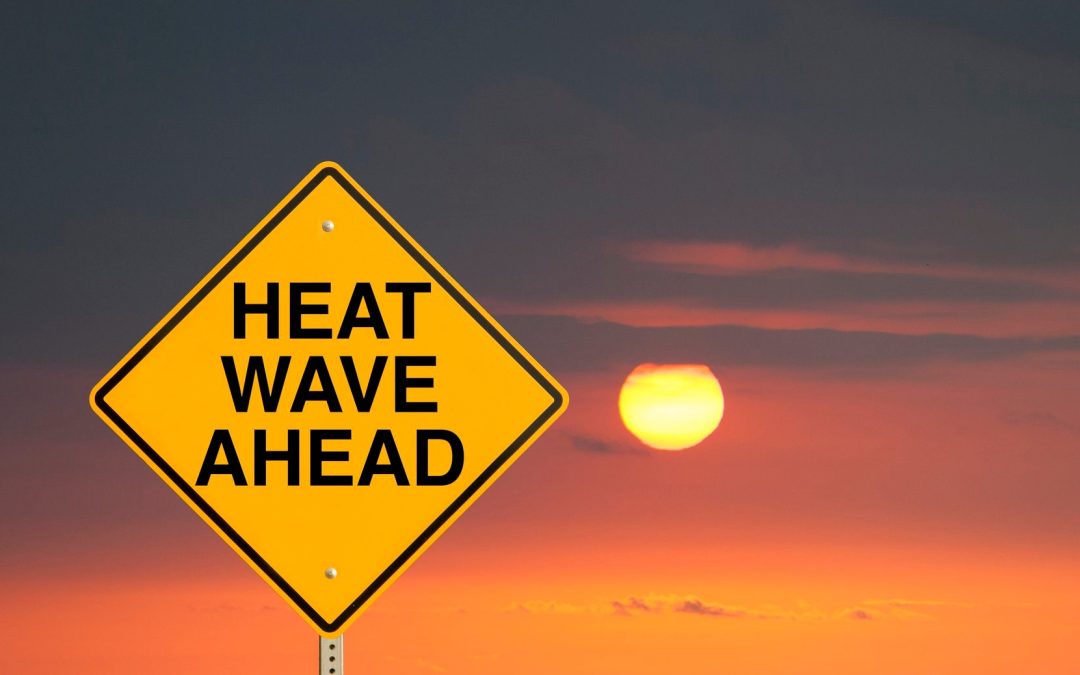 It’s a 51 Deg C. heatwave. Is a fan what we need?