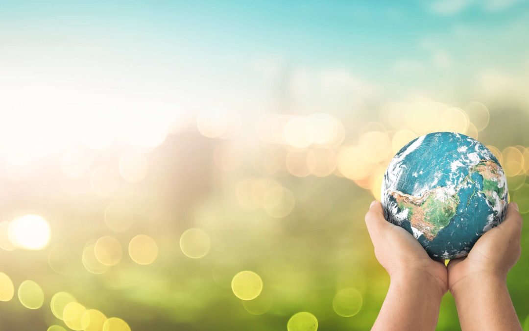 How to reduce energy consumption in your business and access government funding.