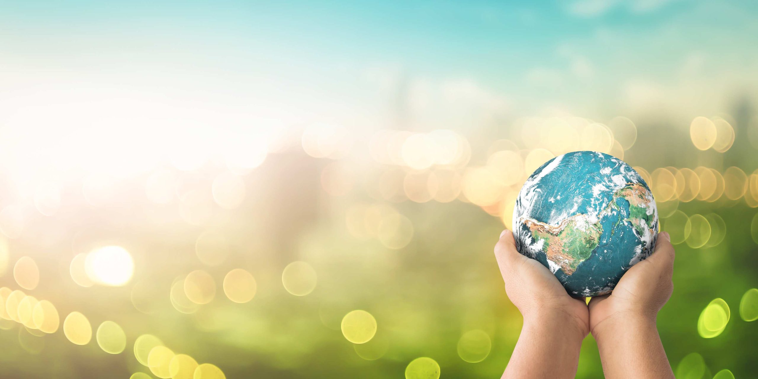 solutions-to-reduce-energy-consumption Hands holding Earth globe symbolizing sustainable transformation and energy-efficient solutions for businesses.